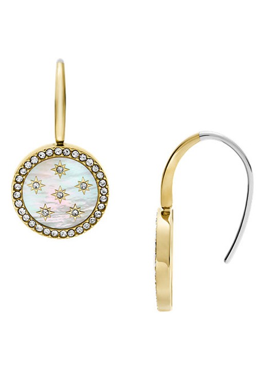 Fossil Jewelry oorhangers JF04867710