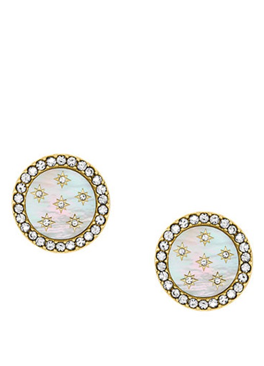 Fossil Jewelry oorstekers JF04868710
