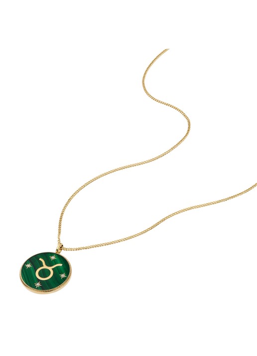 Fossil Ketting met hanger JF04839710 - detail 2 goud