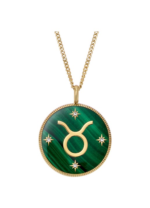 Fossil Ketting met hanger JF04839710