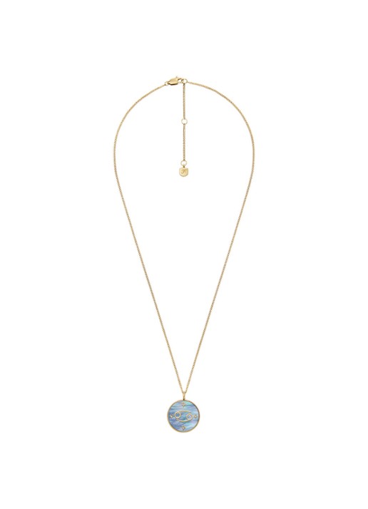 Fossil Ketting met hanger JF04841710 - detail 3 goud