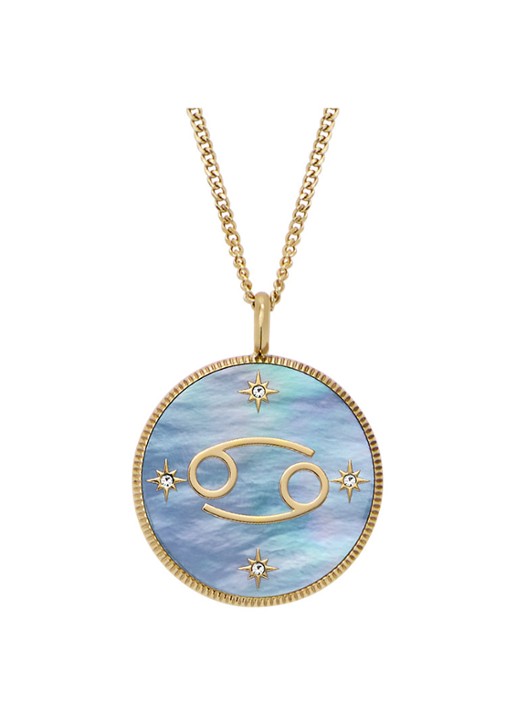 Fossil Ketting met hanger JF04841710
