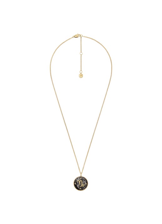 Fossil Ketting met hanger JF04847710 - detail 3 goud