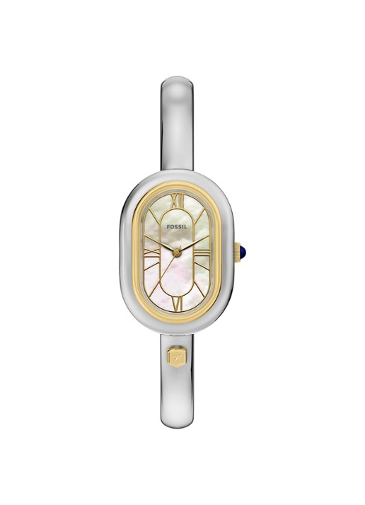 Fossil Sloan horloge ES5455