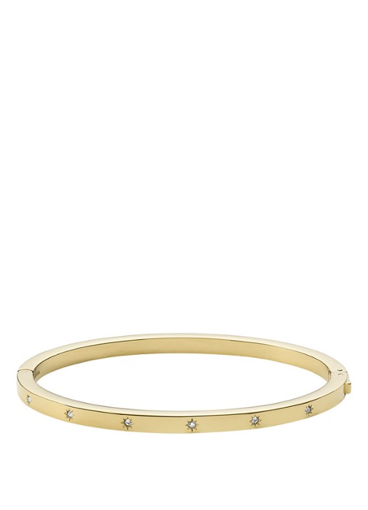 Fossil Sutton bangle met steen JF03872710