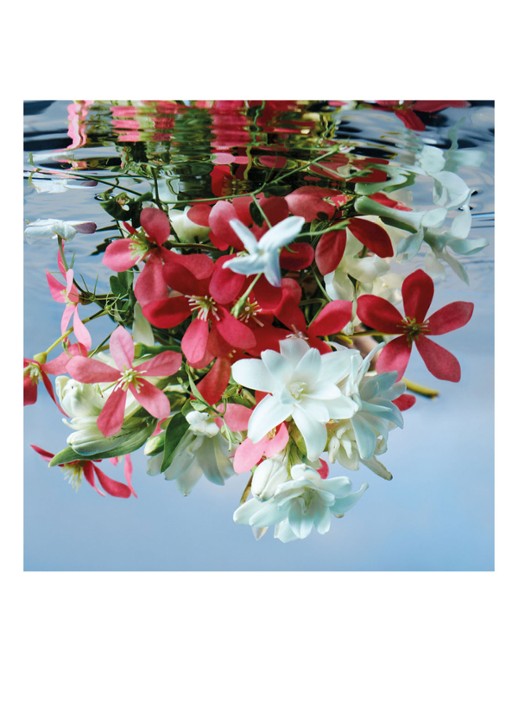 Gucci Gucci Bloom Eau de Parfum - detail 5 undefined