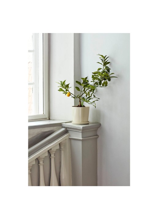 Hay Botanical Family bloempot L voor binnen - 18 cm - voorkant 2 gebroken wit