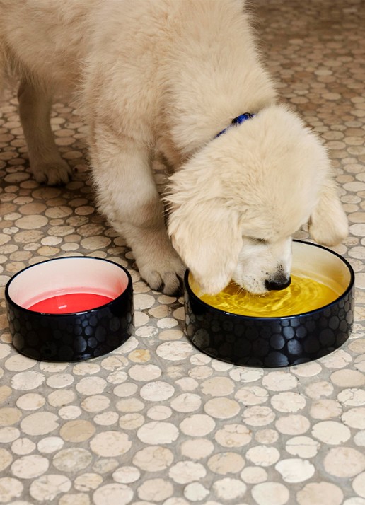 Hay Voerbak Small voor honden - voorkant 2 rood