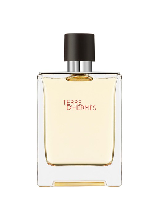 HERMÈS Terre d'Hermès Eau de toilette