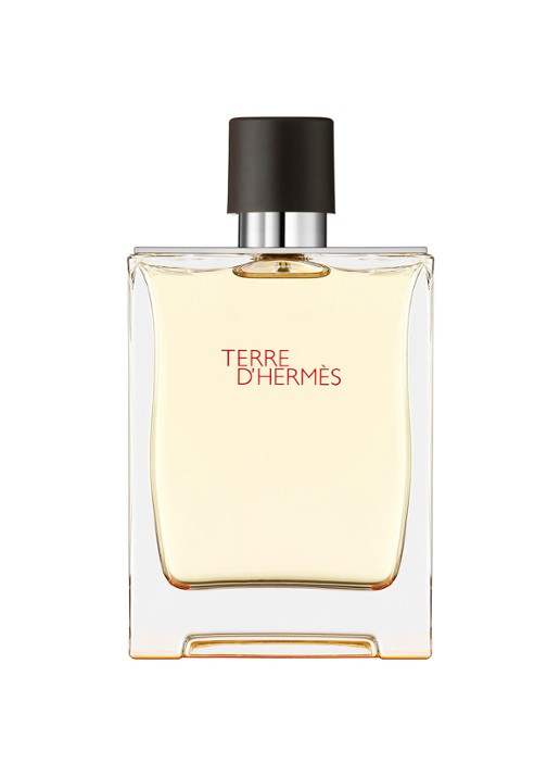 HERMÈS Terre d'Hermès Eau de toilette
