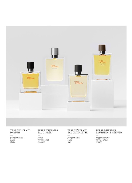 HERMÈS Terre d’Hermès Eau Givrée Eau de Parfum - detail 3 undefined
