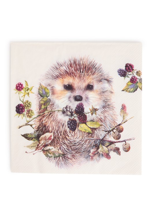 Ihr Ideal Home Forest Hedgehog servetten