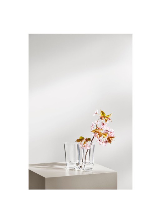 Iittala Alvar Aalto vaas helder 12 cm - detail 2 transparant