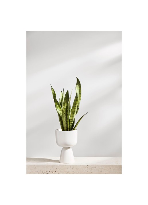 Iittala Nappula bloempot van keramiek voor binnen Ø15 cm - voorkant 6 wit