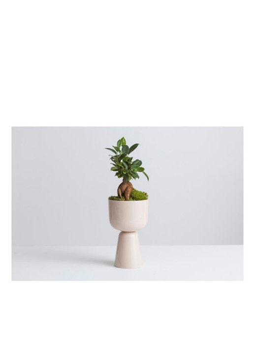 Iittala Nappula bloempot van keramiek voor binnen Ø15 cm - detail 5 creme