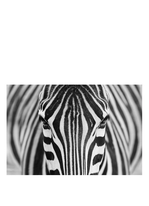 IXXI Zebra wanddecoratie 80 x 120 cm - voorkant 2 grijs