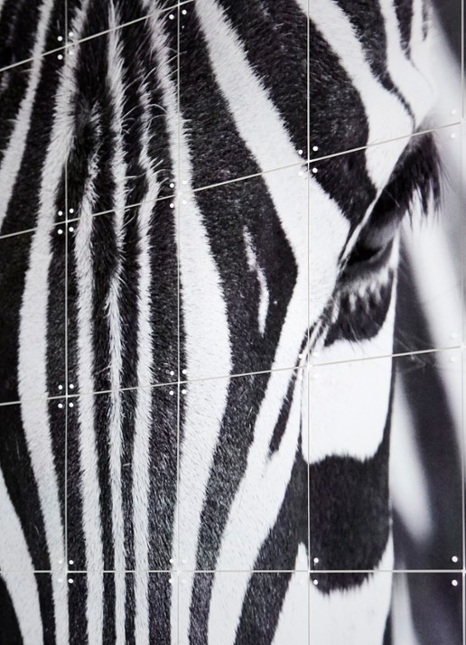 IXXI Zebra wanddecoratie 80 x 120 cm - voorkant 3 grijs