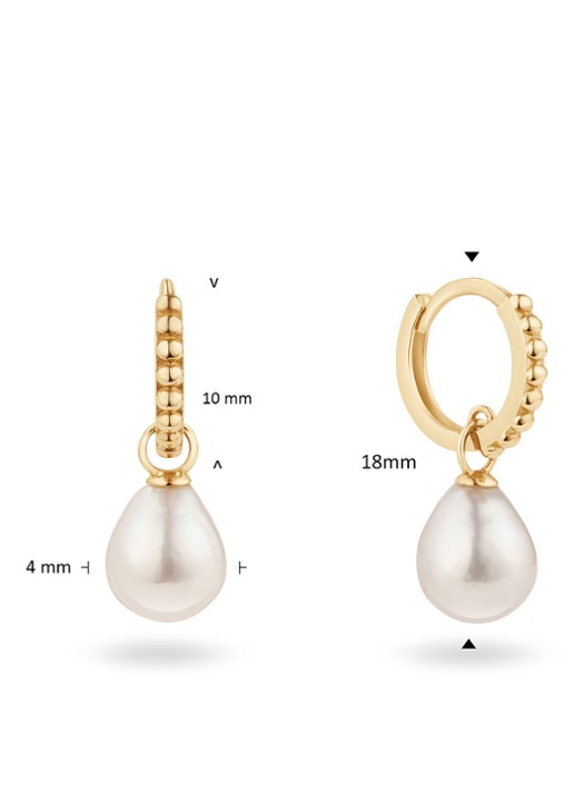 Jackie 14K Gold Camps Pearl Bay oorringen van 14 karaat geelgoud - detail 3 goud