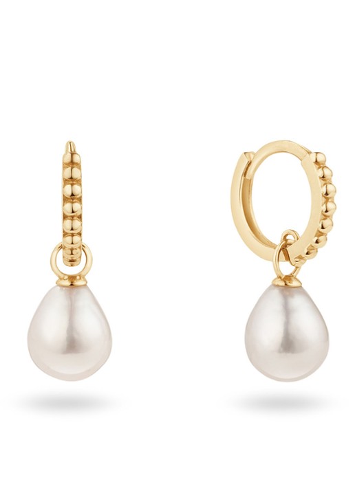 Jackie 14K Gold Camps Pearl Bay oorringen van 14 karaat geelgoud