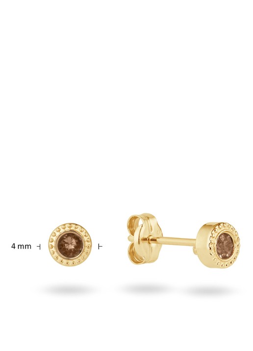Jackie 14K Gold Kirstenbosch oorknopjes van 14 karaat geelgoud - detail 2 bruin