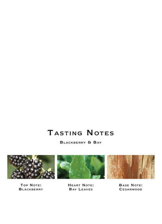 Jo Malone London Blackberry & Bay Diffuser - geurstokjes - detail 2 undefined