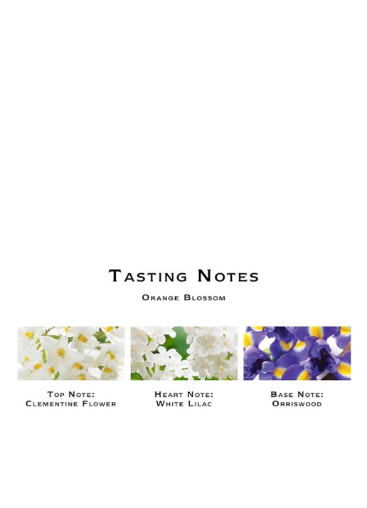 Jo Malone London Orange Blossom Diffuser - geurstokjes - detail 5 undefined