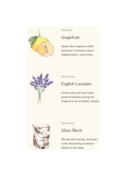 Jo Malone London Silver Brich & Lavender Cologne - detail 4 undefined