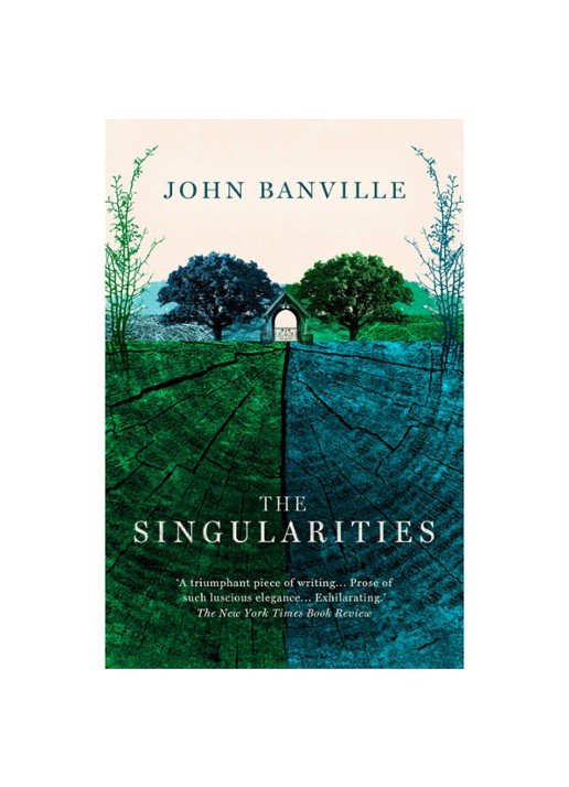 John Banville The Singularities