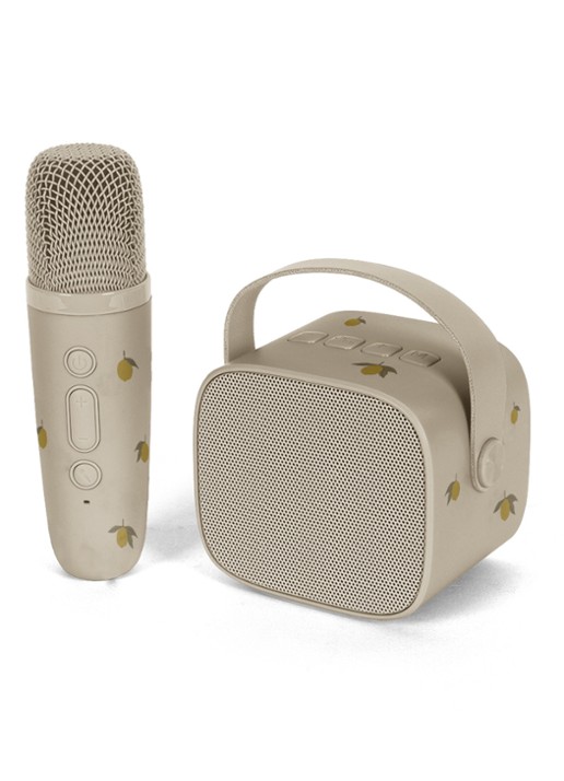 Konges Sløjd Karaoke set