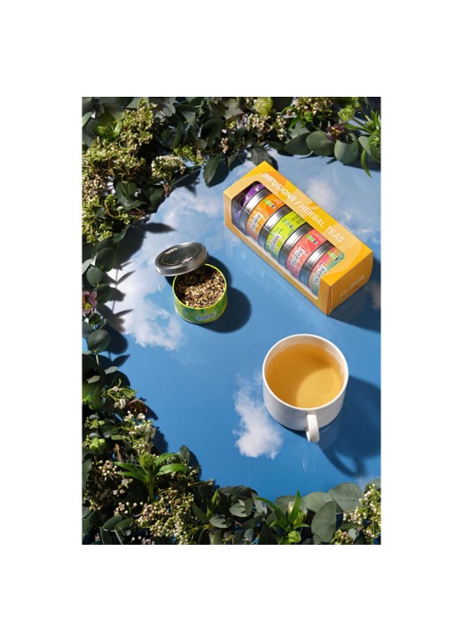 Kusmi Tea  Infusions theeset met losse thee 5 x 25 gram - detail 2 undefined