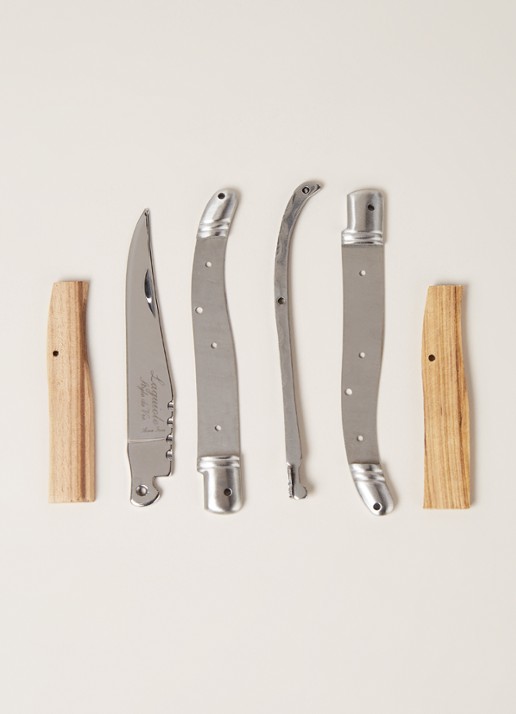 Laguiole Style de Vie Maak je eigen Laguiole zakmes 9,5 cm giftset - voorkant 2 zilver