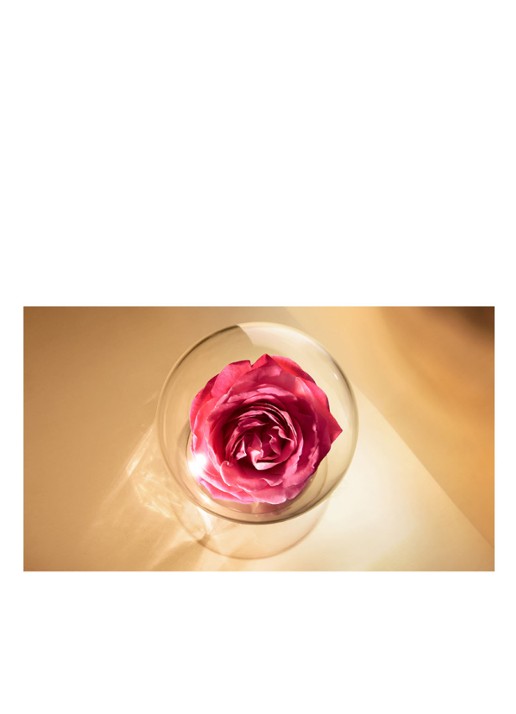 Lancôme Absolue Rich Cream - dag-en nachtcrème - detail 5 undefined