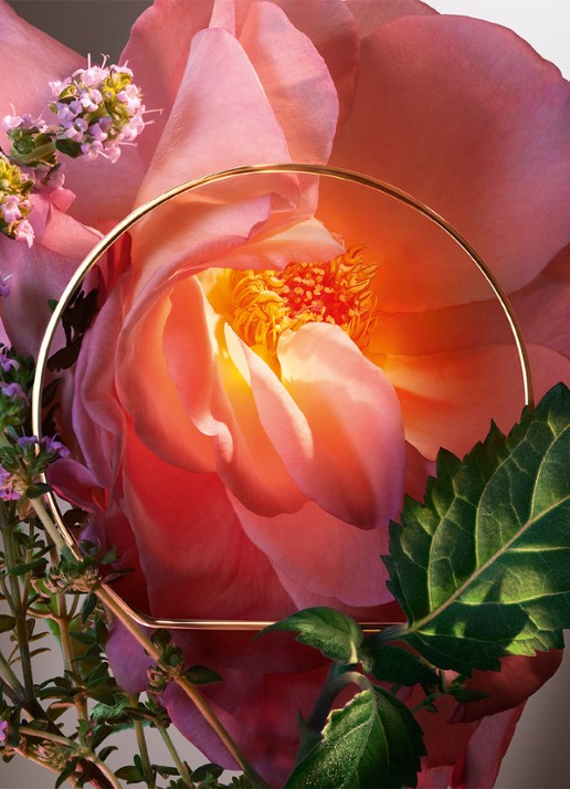 Lancôme Hot As Rose Eau de Parfum - detail 2 undefined