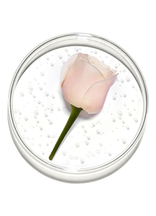 Lancôme Storm & Roses Eau de Parfum - detail 4 beige