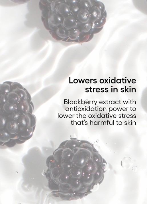 Laneige Water Bank UV Sunscreen SPF50+  - zonnebrand voor het gezicht - detail 5 undefined