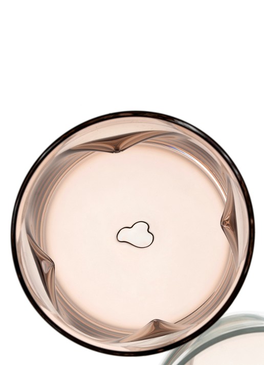 Leonardo Vesuvio drinkglas 30 cl - detail 4 bruin