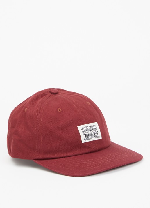 Levi's Relaxed dad heritage pet met logo