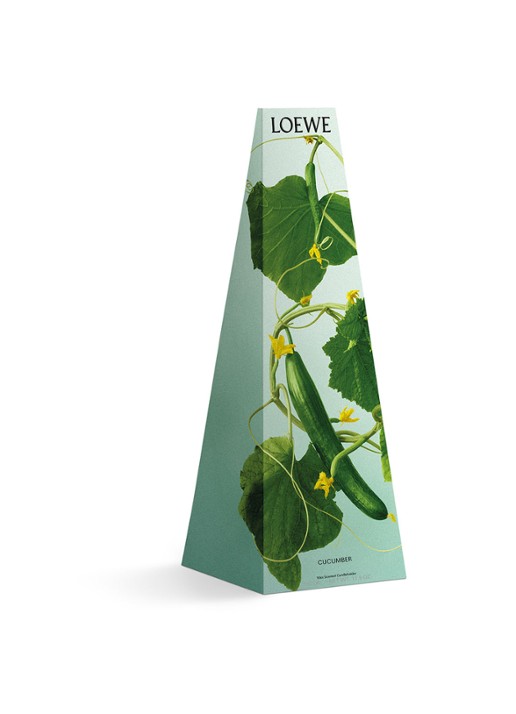 LOEWE Cucumber Wax Candle - geurkaars kandelaar 330 gram - detail 3 undefined