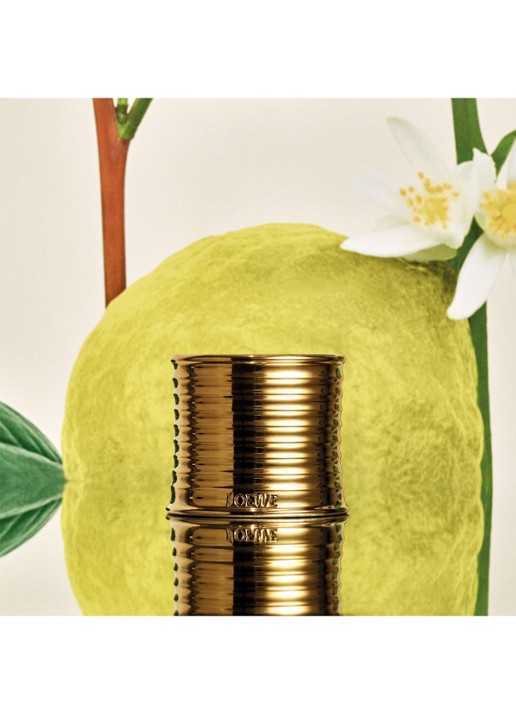 LOEWE Earl Grey Scented Candle - geurkaars 320 gram - detail 4 undefined