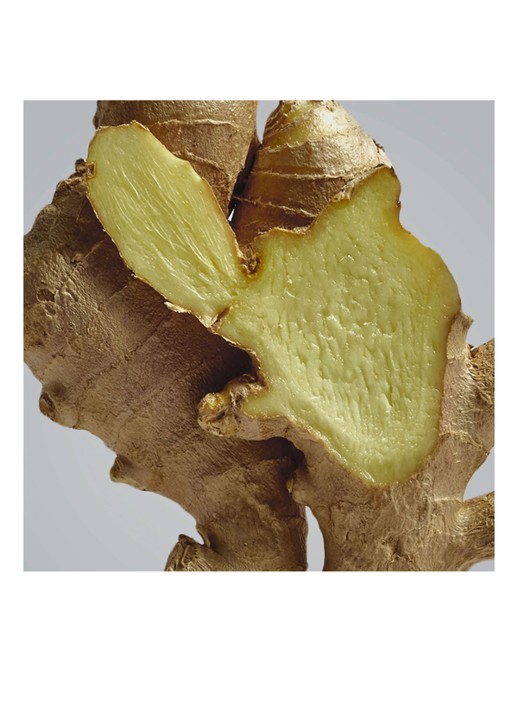 LOEWE Ginger Outdoor Candle - geurkaars 750 gram - detail undefined