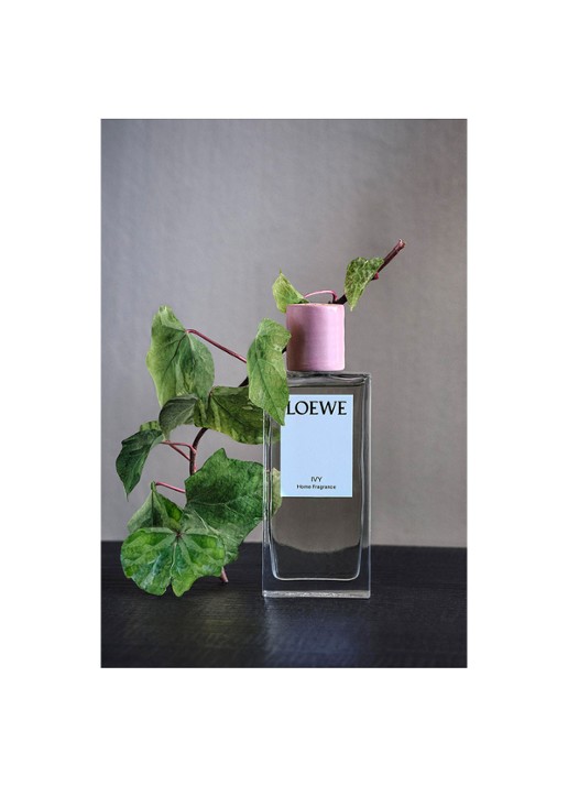 LOEWE Ivy Room Spray - huisparfum 150 ml - detail 7 undefined