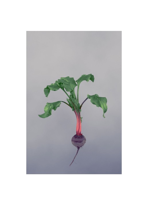 LOEWE Large Beetroot Candle - geurkaars 2120 gram  - detail 6 undefined