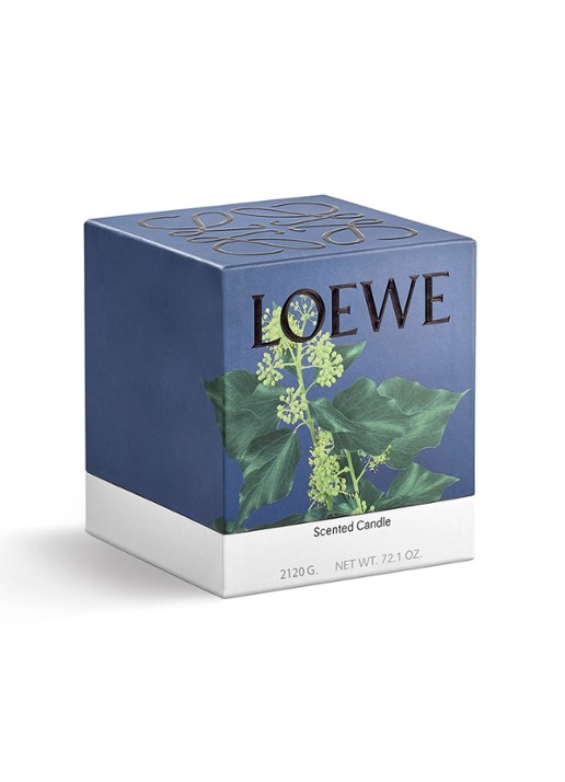 LOEWE Large Ivy Candle - geurkaars 2120 gram - detail 5 undefined