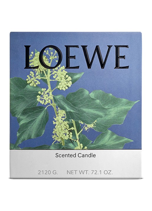 LOEWE Large Ivy Candle - geurkaars 2120 gram - voorkant 2 undefined