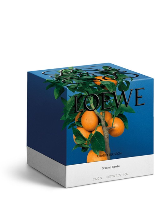 LOEWE Large Orange Blossom Candle - geurkaars 2120 gram - detail 3 undefined