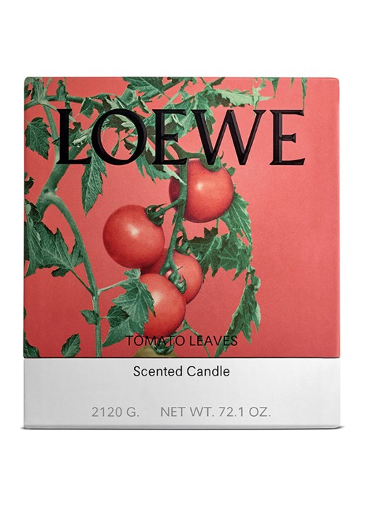 LOEWE Large Tomato Leaves Candle - geurkaars 2120 gram - voorkant 2 undefined
