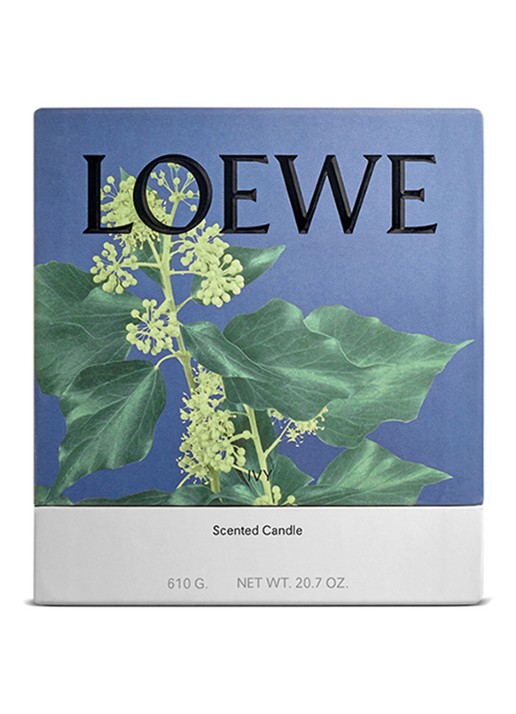 LOEWE Medium Ivy Candle - geurkaars 610 gram - voorkant 7 undefined