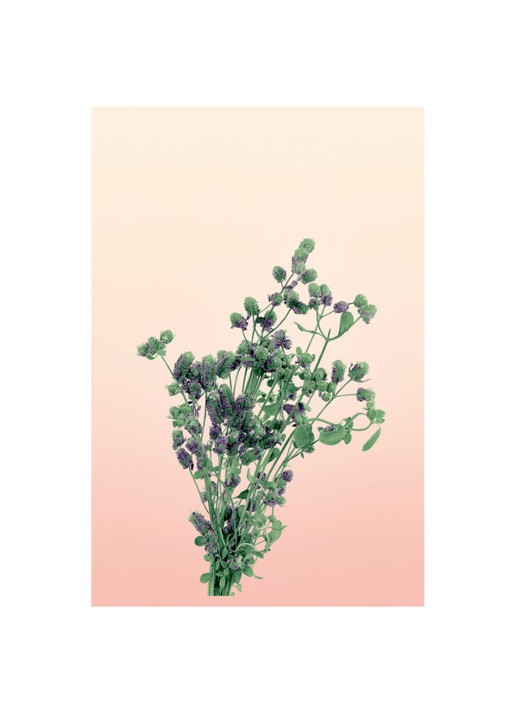 LOEWE Medium Oregano Candle - geurkaars 610 gram - detail 4 undefined