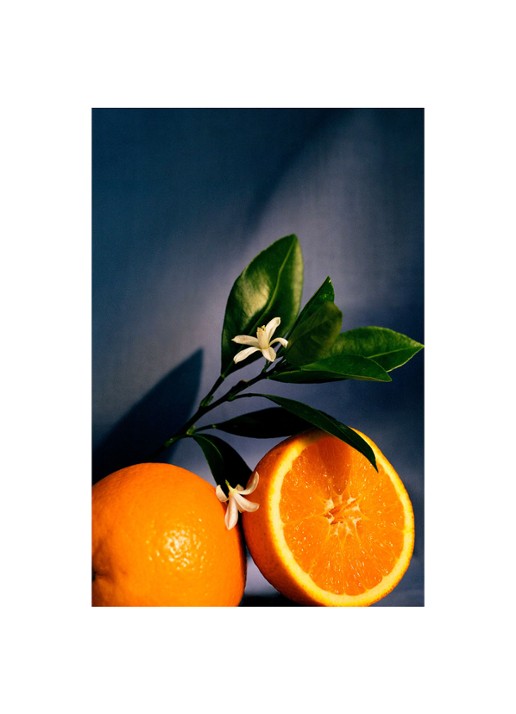 LOEWE Orange Blossom Wax Candle - geurkaars kandelaar 330 gram - detail 4 undefined