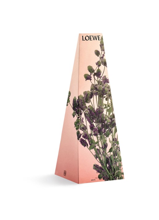 LOEWE Oregano Wax Candle - geurkaars kandelaar 330 gram - detail 3 undefined